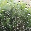 Lluvia del Bosque、White Noise Rain Loopable、Rain Sounds for Relax - Tropical Rain Noise From a Balcony 1
