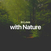 Music of the Forest、Natural Woodland Sounds、Nature Atmospheres - Sunrise of Hope