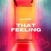Lilyass - That Feeling