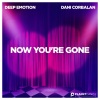 Deep Emotion、Dani Corbalan - Now You're Gone