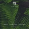 Shebuzzz、Heavenchord、Infinity Dots - Northern Lights