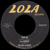 The Ric-A-Shays、the Travelers - Turn On