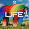 Horse Attack Sqwad - Life