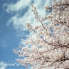Valentin - Tender