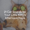 Calm Music for Cats - Cats Peace, Pt. 1