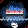 Dj Menor Piu、MC Vuk Vuk、mc larissa、MC GW - Mega Vem Gatinha (Explicit)