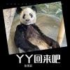 恰谈森 - 丫丫回来吧
