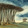 Cosmo Sheldrake、Robert Macfarlane - Beech
