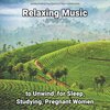 Relaxing Music by Terry Woodbead、Relaxing Music、Yoga - Wide