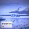 柳橙橙、赵士豪 - 梅香如故