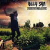 Billy Syn - PHOTOGRAPH (MISS YOU)