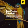 Ibiza Pirates - Pamukale (Original Mix)