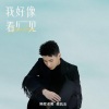 隔壁老樊 - 我好像看见