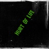 Big Brother《hurt of life》[MP3/LRC]