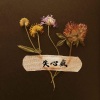 小雪人 - 失心疯