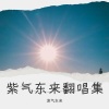 紫气东来《寂寞的风》[MP3/LRC]