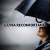 Lluvia PQ、Sonido de lluvia、Lluvia Relajante、Cascada de Lluvia - Lluvia Reconfortante para el Alma