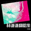 林谦谦 - 天际