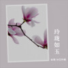 金晟 - 落雪孤人