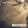 Floating Log - Into the Wild