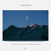 Chill Satellite、Young Viridii - Paradise