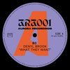 Denyl Brook - What They Want