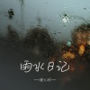 琪大妈 - 雨水日记