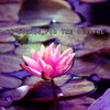 Yoga Workout Music - Mindshaft