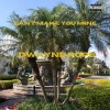 Dwayne Pope - Cant Make You Mine (Explicit)