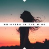 Romantic Piano Music、Piano Dreamers、Piano Mood、Piano Time - Reflections in the Rain (A Collection of Ambient Piano Melodies)