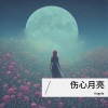 小萍 - 伤心月亮 (Live)
