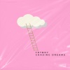 Toyboy - Chasing Dreams