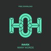 Ravek - Many Words