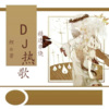 小锦鲤 - 爱的苦酒一杯又一杯，像一场逝去的旧梦 (车载版DJ串烧)