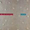 Jóhann Helgason - Airplane