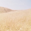 Kina Grannis《Fields of Gold》[MP3/LRC]