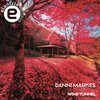 Danni Markez - Wind Tunnel