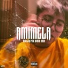 Dimelow Pro、Ibarra、Nash《Amimela (Explicit)》[MP3/LRC]