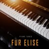 Piano Tunes - Fur Elise (German Grand Piano)