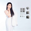 燕宝儿 - 半痴半傻半疯癫