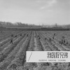 宋清安、王宏伟 - 我的好兄弟