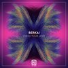 Berkai、Berkay Işık - I Need Your Love (Radio Edit)