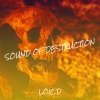 Loic-D《Sound of Destruction》[MP3/LRC]