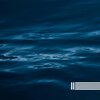 Sea Sounds、Satisfying Ocean Sounds、Sounds of Nature Zone - Coral