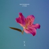 Skyknock - Ginkgo
