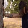 LIL SPIRIT 369 - What they did to He