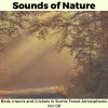 Eric Library of Nature Sounds - Wormy Lizard