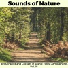 Abella Rossi Nature Musica - Cold Pond Water Ripples