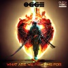Ogge - What Are We Fighting For