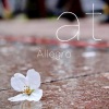 Allegro《at》[MP3/LRC]